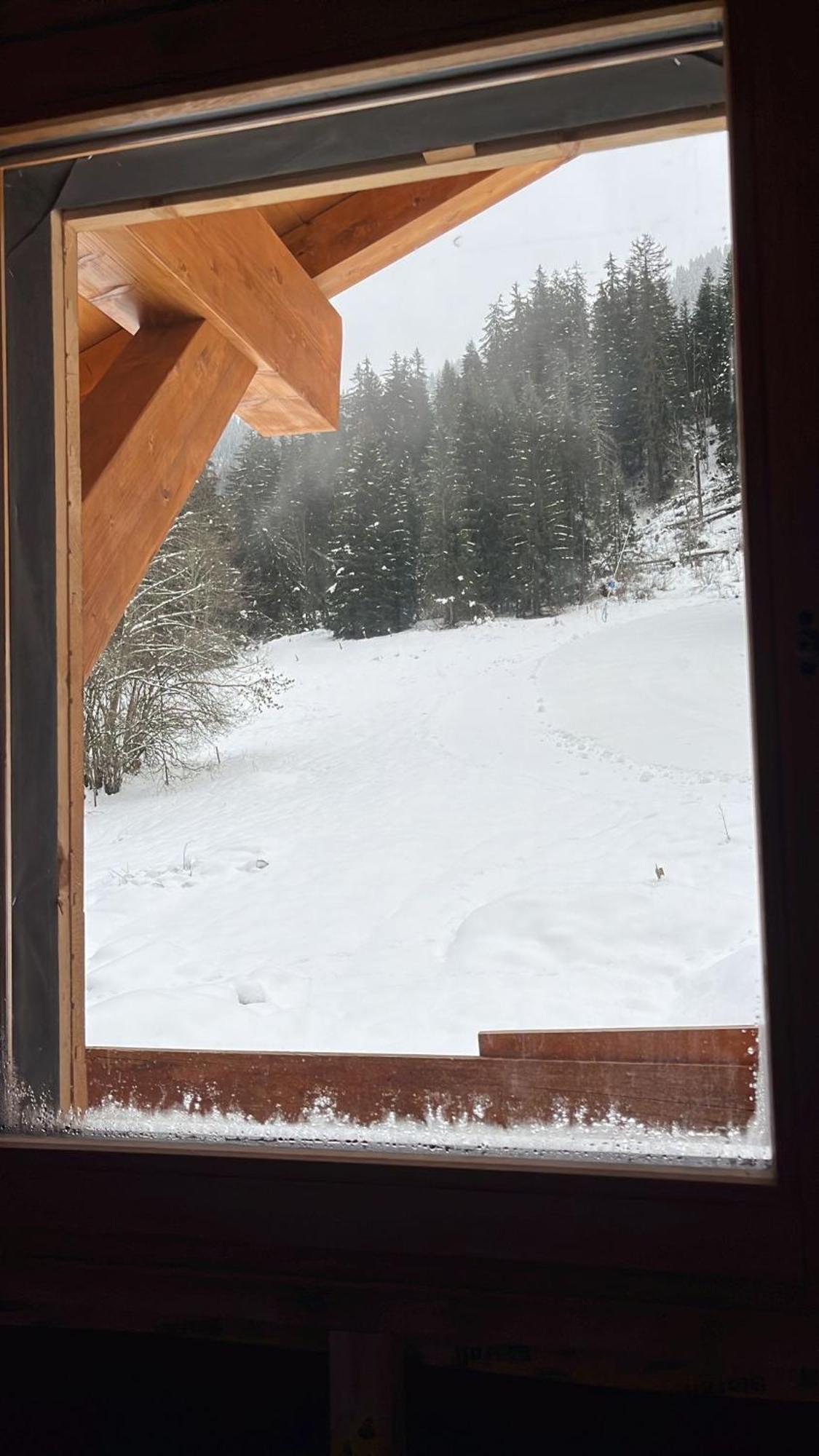 La Rose Des Neiges A Châtel Zewnętrze zdjęcie